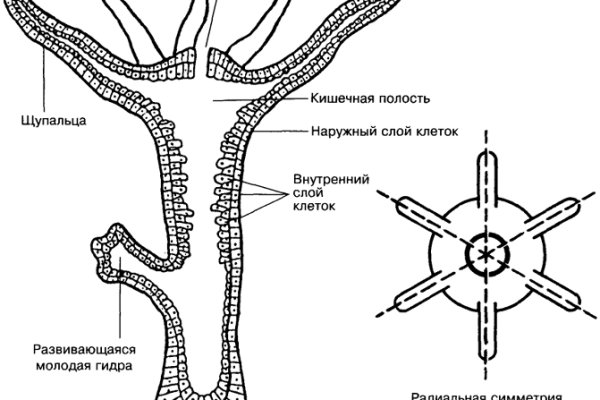 Блэк спрут телега