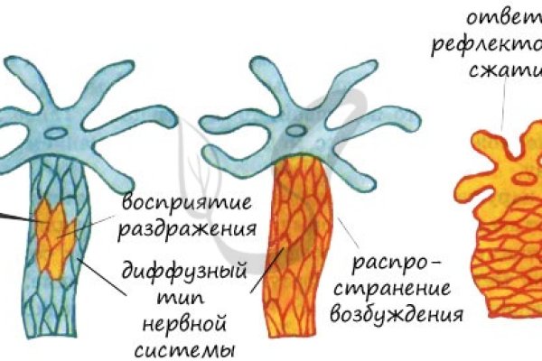 Блэк спрут ссылка пв 1blacksprut me