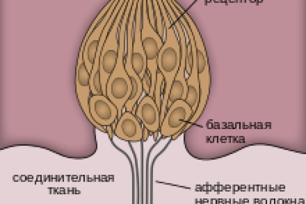 Скачать действующую ссылку на блекспрут