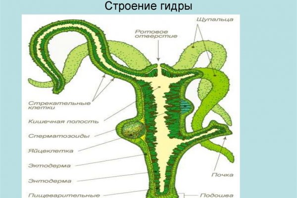 Как зарегистрироваться на блэкспруте по ссылке